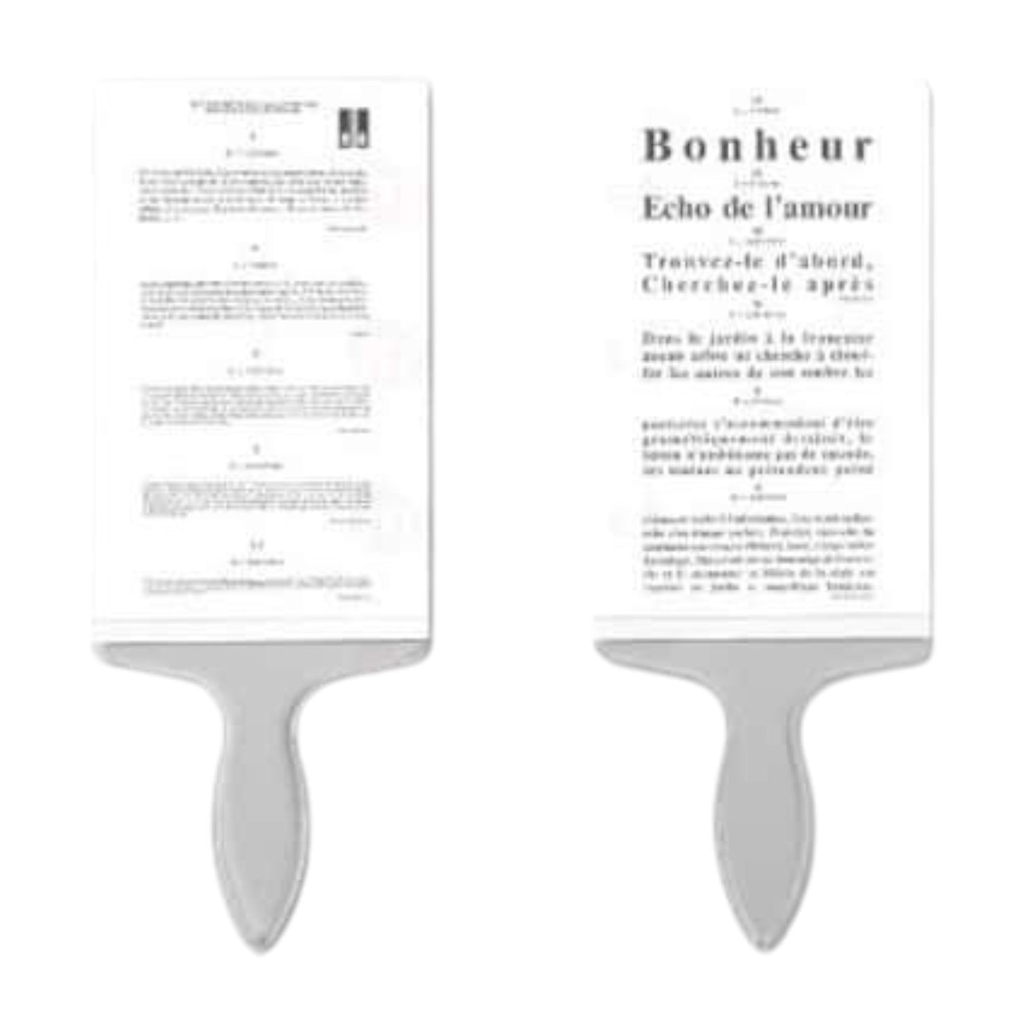 Echelle à main de Parinaud lettré